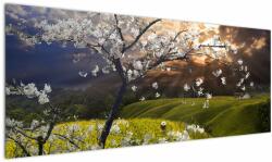 Mivali Tablou - Peisaj cu pomul înflorit, dintr-o bucată 145x58 cm (V023369V14558)