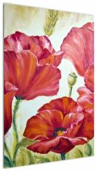 Mivali Tablou - Mac - flori, dintr-o bucată 60x90 cm (V023305V6090)