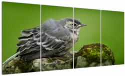 Mivali Tablou - Muscarul, din patru bucăți 160x80 cm (V021350V16080)