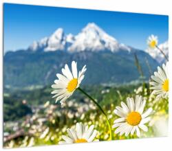 Mivali Tablou pe sticlă - Primăvara în Alpi, dintr-o bucată 70x50 cm pe sticlă (V023214V7050GD)