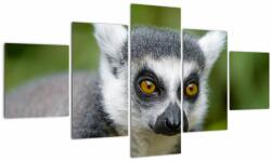 Mivali Tablou cu lemur, din cinci bucăți 125x70 cm (V021130V12570)