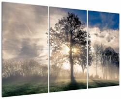 Mivali Tablou cu copac în ceață, din trei bucăți 120x80 cm (V020378V120803PCS)
