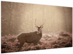 Mivali Tablou - Cerb în pădure, dintr-o bucată 120x70 cm (V023738V12070)