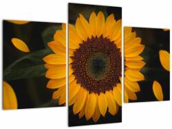 Mivali Tablou - Floarea soarelui și petale, din trei bucăți 90x60 cm (V021736V90603PCS)