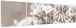 Mivali Tablou - Detaliu crenguță, din patru bucăți 160x40 cm (V024033V16040)