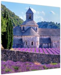 Mivali Tablou - Câmp de lavandă, dintr-o bucată 70x70 cm (V023833V7070)