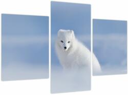 Mivali Tablou - Vulpe polară, din trei bucăți 90x60 cm (V023887V90603PCS)