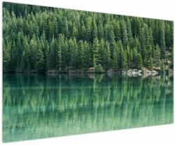 Mivali Tablou - Coniferi lângă lac, dintr-o bucată 150x100 cm (V021328V150100)