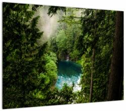 Mivali Tablou pe sticlă - Fereastra între copaci, dintr-o bucată 70x50 cm pe sticlă (V022717V7050GD)