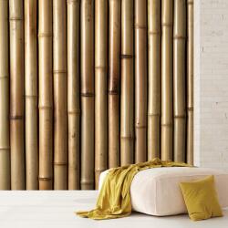 Mivali Fototapet - Bambus, vlies, 98x68 cm (T100509TQ2)