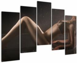 Mivali Tablou - Imaginea unei femei în picături de apă, din cinci bucăți 125x90 cm (V023499V12590)