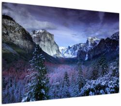 Mivali Tablou cu peisaj montan iarna, dintr-o bucată 100x70 cm (V020242V10070)