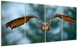 Mivali Tablou -Bufnita în zbor, din patru bucăți 160x80 cm (V022020V16080)