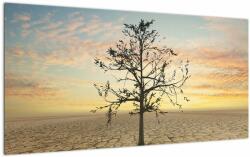 Mivali Tablou pe sticlă - Copac în deșert, dintr-o bucată 100x50 cm pe sticlă (V022955V10050GD)