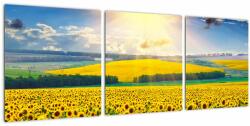 Mivali Tablou - Câmp cu floarea soarelui, din trei bucăți 90x30 cm (V022514V9030)