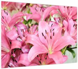Mivali Tablou - Liliac roz, dintr-o bucată 70x50 cm (V023756V7050)