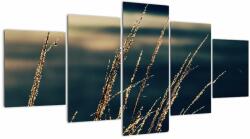 Mivali Tablou cu ierburi, din cinci bucăți 150x80 cm (V022277V150805PCS)