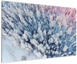 Mivali Tablou cu copaci înzăpeziți, dintr-o bucată 120x80 cm (V021172V12080)