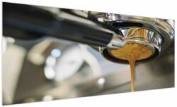 Mivali Tablou - espresso, dintr-o bucată 250x125 cm (V020523V250125)