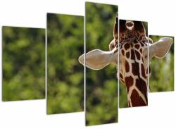 Mivali Tablou cu girafă din spate, din cinci bucăți 150x105 cm (V020638V150105)