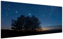 Mivali Tablou cu copaci noapte, dintr-o bucată 200x100 cm (V021258V200100)