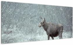 Mivali Tablou - Elan într-o pădure înzăpezită, dintr-o bucată 100x40 cm (V023401V10040)