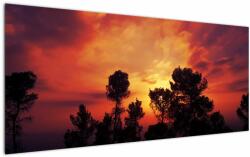 Mivali Tablou apus de soare, dintr-o bucată 120x50 cm (V021532V12050)