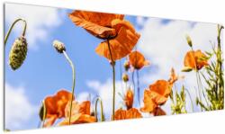 Mivali Tablou cu macii, dintr-o bucată 145x58 cm (V020407V14558)