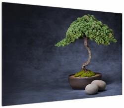 Mivali Tablou - Bonsai, dintr-o bucată 100x70 cm (V022509V10070)
