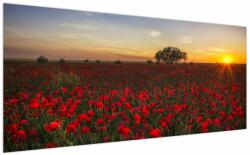 Mivali Tablou cu lunca și macii, dintr-o bucată 200x100 cm (V020551V200100)