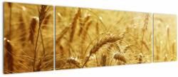 Mivali Tablou - Spice de cereale, din trei bucăți 170x50 cm (V022459V17050)