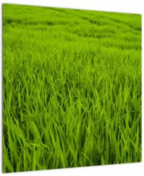 Mivali Tablou cu iaraba, dintr-o bucată 50x50 cm (V020340V5050)