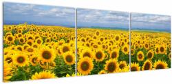 Mivali Tablou cu lan de floarea soarelui, din trei bucăți 150x50 cm (V020946V15050)