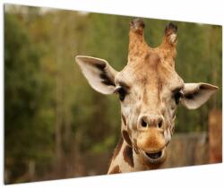 Mivali Tablou girafe, dintr-o bucată 120x80 cm (V020691V12080)