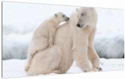 Mivali Tablou pe sticlă - Urs polar, dintr-o bucată 100x50 cm pe sticlă (V022334V10050GD)