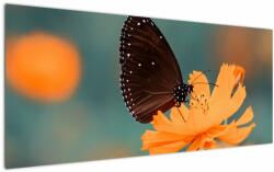 Mivali Tablou - fluture pe o floare portocalie, dintr-o bucată 120x50 cm (V020577V12050)
