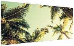 Mivali Tablou - Palmieri de cocos, dintr-o bucată 200x100 cm (V023328V200100)