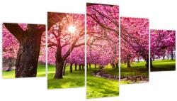 Mivali Tablou - Cireși înfloriți, Hurd Park, Dover, New Jersey (cu ceas), din cinci bucăți 150x80 cm cu ceas (V022582V15080C)