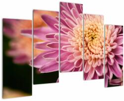 Mivali Tablou detailat cu flori, din cinci bucăți 125x90 cm (V020238V12590)