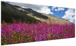Mivali Tablou sceneriei cu lunca montană, dintr-o bucată 250x125 cm (V021604V250125)