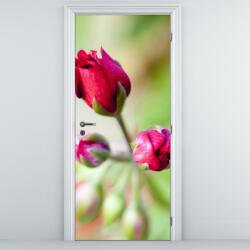 Mivali Fototapeta pentru ușă - floare de trandafir (D014841D95205)