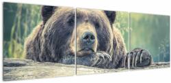 Mivali Tablou cu urs, din trei bucăți 150x50 cm (V020899V15050)