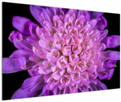 Mivali Tablou detailat cu floare, dintr-o bucată 120x80 cm (V020318V12080)