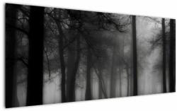 Mivali Tablou - Pădure în ceață, dintr-o bucată 120x50 cm (V023566V12050)