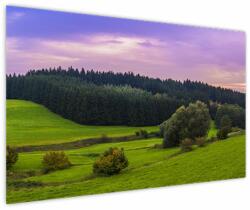 Mivali Tablou cu lunca, dintr-o bucată 150x100 cm (V020343V150100)