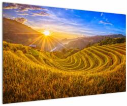 Mivali Tablou - Terasele de orez din Vietnam, dintr-o bucată 120x80 cm (V022373V12080)