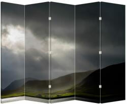 Mivali Paravan - Furtuna în apropiere, din 5 bucăți, 210x170 cm (P020206P225180)