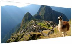 Mivali Tablou - Lama și Machu Picchu, dintr-o bucată 250x125 cm (V023712V250125)