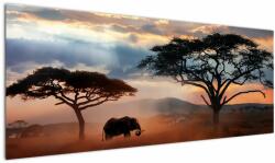 Mivali Tablou - Parcul Național Serengeti, Tanzania, Africa, dintr-o bucată 145x58 cm (V023034V14558)