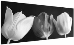 Mivali Tablou - Lalele alb negre, dintr-o bucată 250x125 cm (V021916V250125)